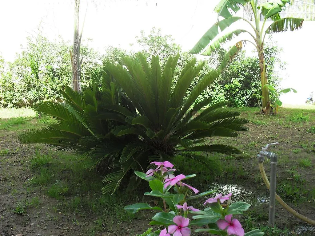 公寓 巴莱斯特拉泰La Casa Sul Mare公寓 意大利